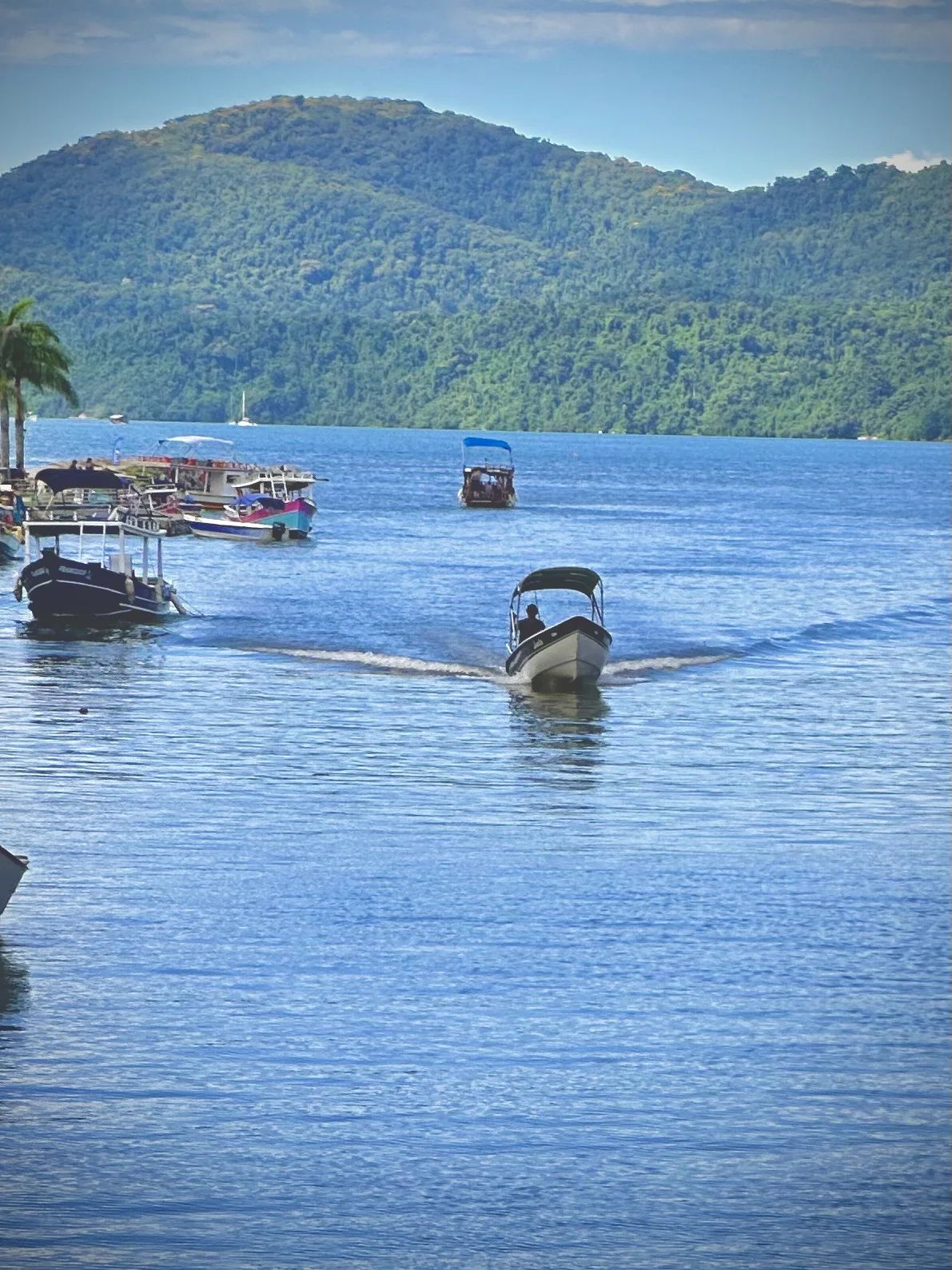 Kayaking Saco do Mamanguá: Brazil's Only Tropical Fjord