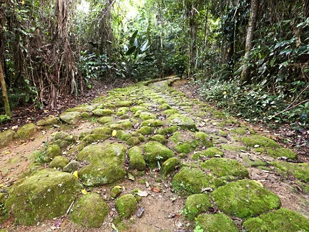 A preserved section of the historic Gold Trail winding through the Atlantic Rainforest.