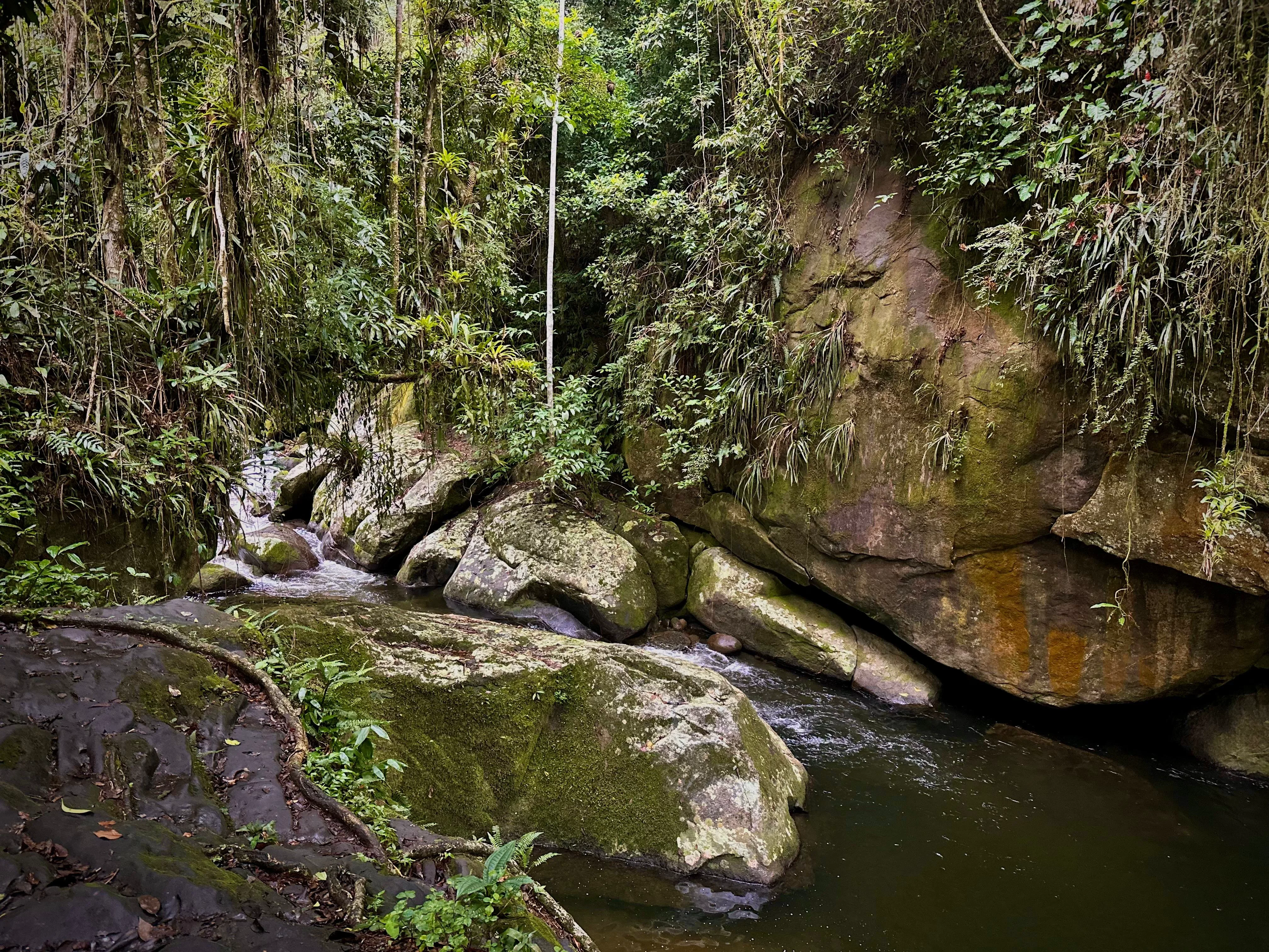 Poço dos Ingleses is one of Paraty's quieter waterfall escapes.
